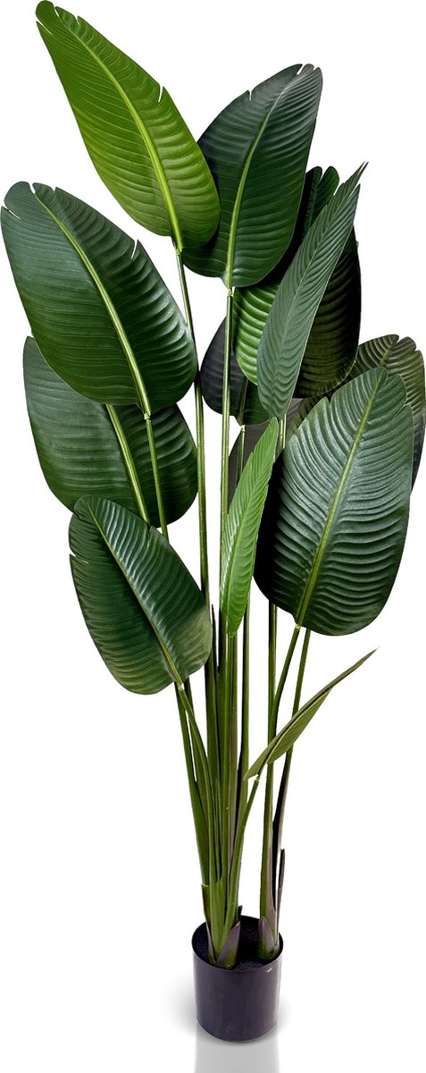 IvoQ Strelitzia Kunstplant 180 cm - Grote Paradijsvogelplant in Pot - Levensechte Kamerplant voor Binnen
