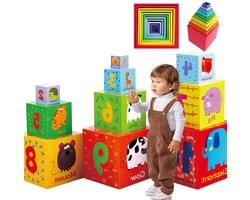 VELTRR® Speelgoed 2 Jaar - Kinderspeelgoed - Multi Kleur