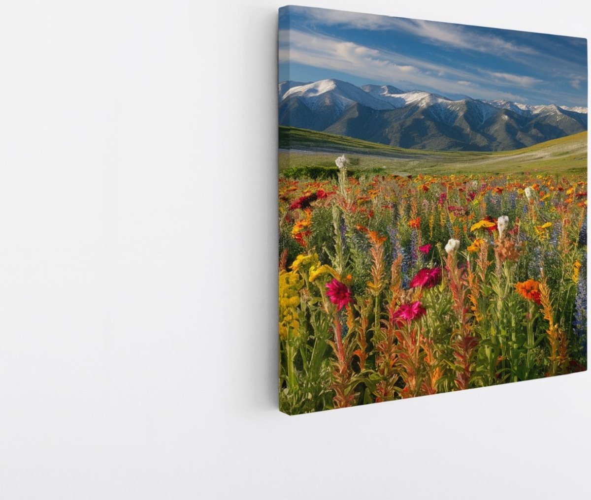Saammp Canvas Schilderij - Bloemenveld met bergtoppen - Natuur - Landschap - 60x60 - Foto op canvas - Wanddecoratie - Muurdecoratie Woonkamer - Slaapkamer decoratie - Canvas Print Multicolor
