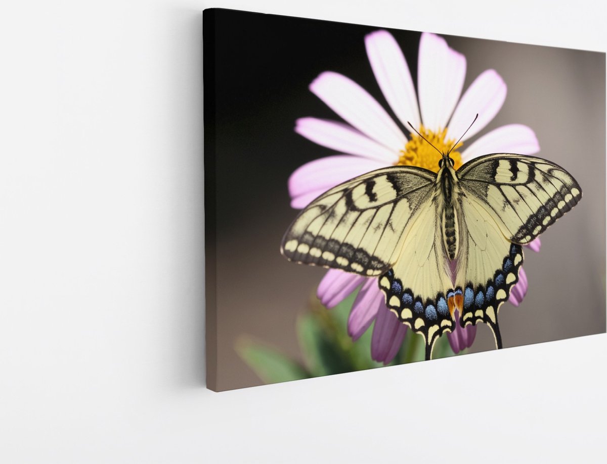 Saammp Canvas Schilderij - Vlinder op grote roze bloem - Natuur - Dieren - 30x20 - Foto op canvas - Wanddecoratie - Muurdecoratie Woonkamer - Slaapkamer decoratie - Canvas Print Multicolor