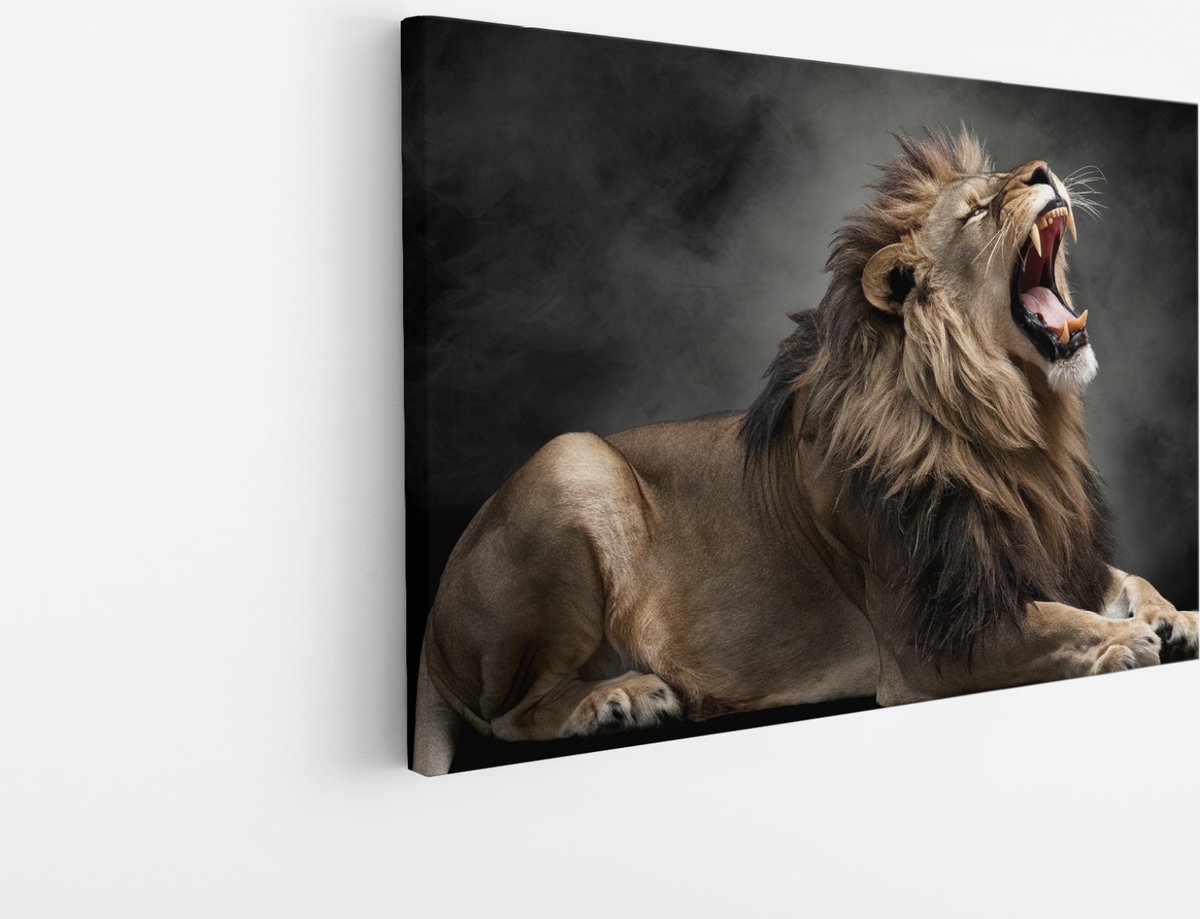 Saammp Canvas Schilderij - Grommende Leeuw - Mist - Dieren - Natuur - 30x20 - Foto op canvas - Wanddecoratie - Muurdecoratie Woonkamer - Slaapkamer decoratie - Canvas Print Multicolor