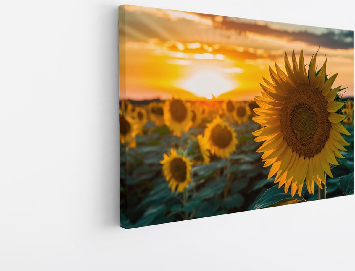 Saammp Canvas Schilderij - Zonnebloemen - Natuur - Landschap - 90x60 - Foto op canvas - Wanddecoratie - Muurdecoratie Woonkamer - Slaapkamer decoratie - Canvas Print Multicolor