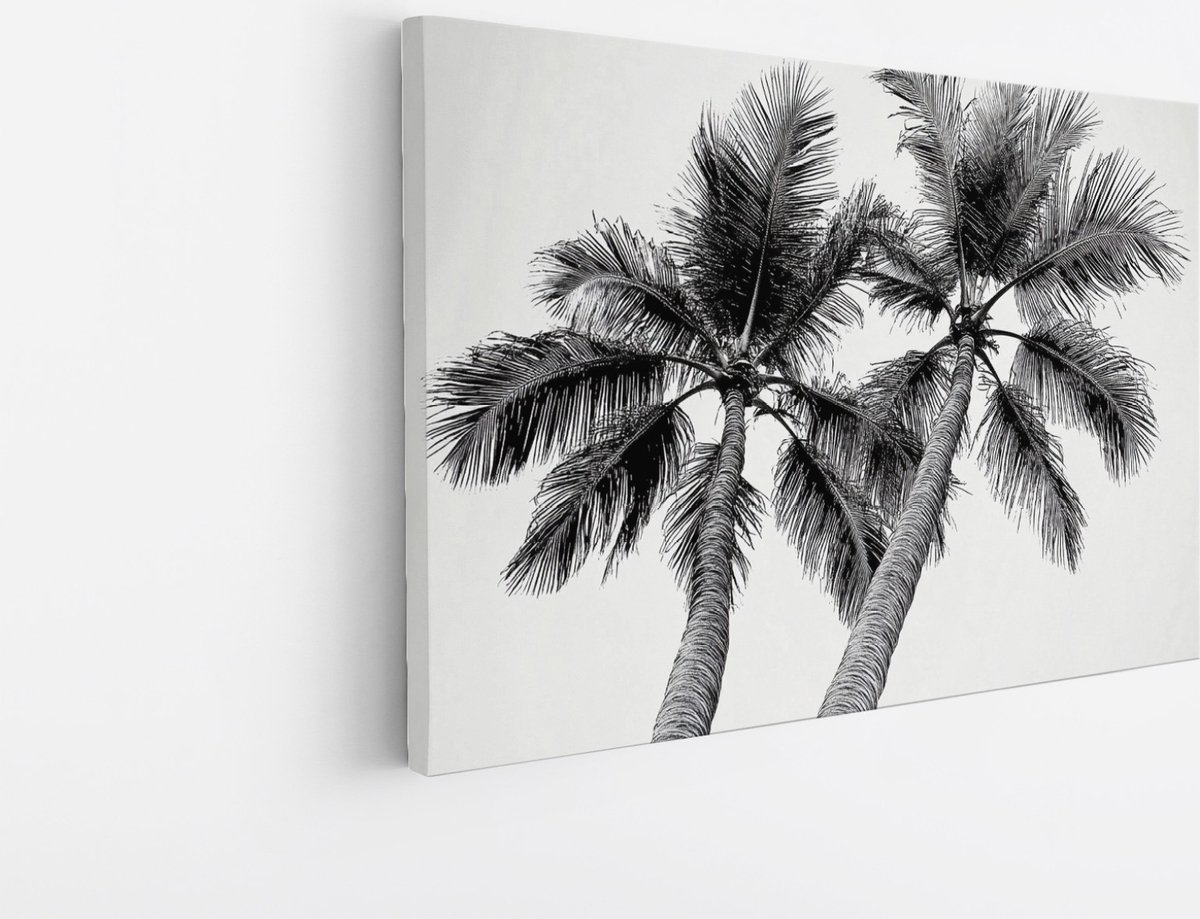 Saammp Canvas Schilderij - Natuur - Zwart-Witte bomen - landschap - 40x30 - Foto op canvas - Wanddecoratie - Muurdecoratie Woonkamer - Slaapkamer decoratie - Canvas Print Multicolor