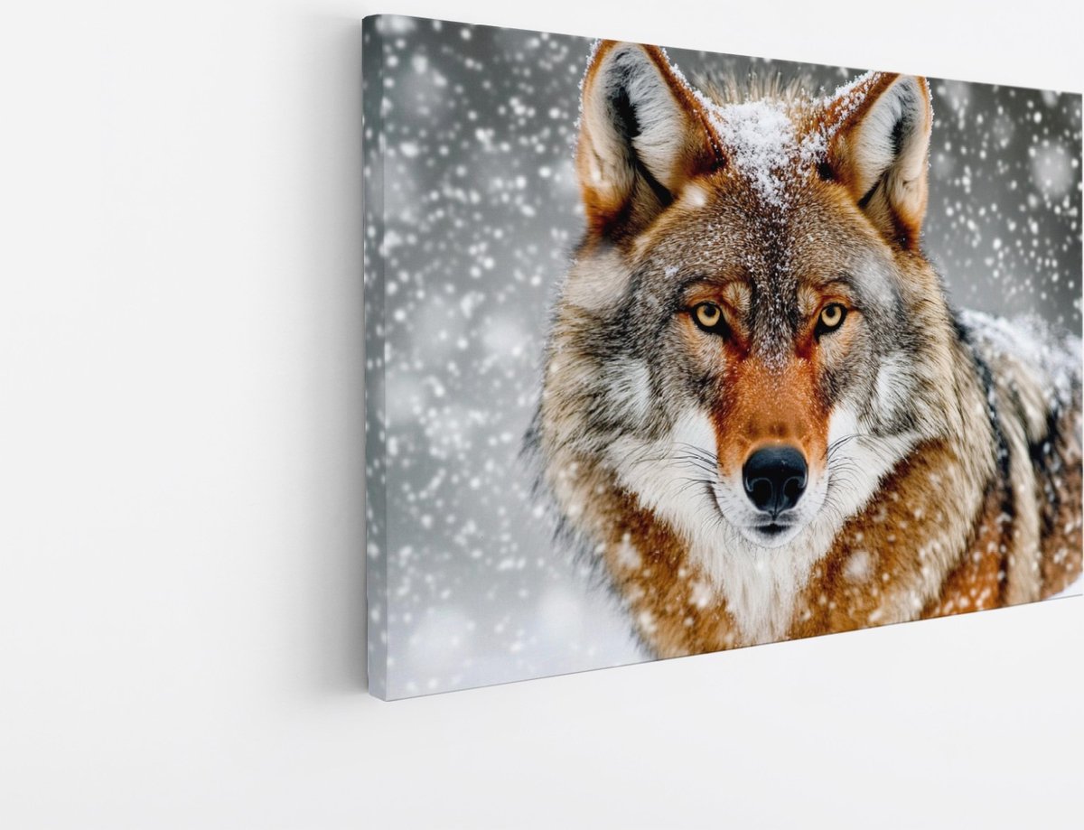 Saammp Canvas Schilderij - Wolf met sneeuw - Dieren - Natuur - 30x20 - Foto op canvas - Wanddecoratie - muurdecoratie Woonkamer - Slaapkamer decoratie - Canvas Print Multicolor