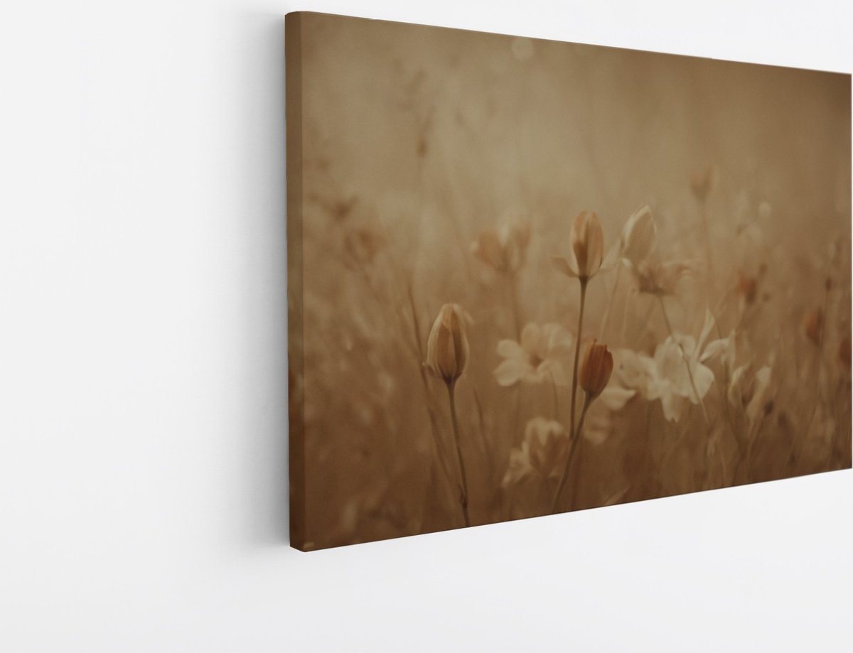 Saammp Canvas Schilderij - Vintage - Witte Bloemen - Beige - Abstract - 30x20 - Foto op canvas - Wanddecoratie - Muurdecoratie Woonkamer - Kantoor Decoratie Multicolor