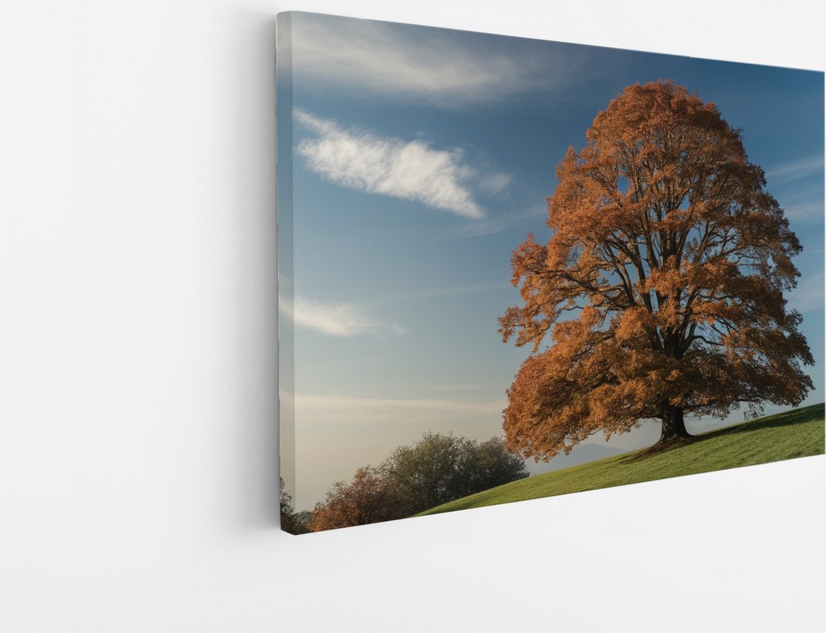Saammp Canvas Schilderij - Grote Boom op berg - Natuur - Landschap - 70x50 - Foto op canvas - Wanddecoratie - Muurdecoratie Woonkamer - Slaapkamer decoratie - Canvas Print Multicolor