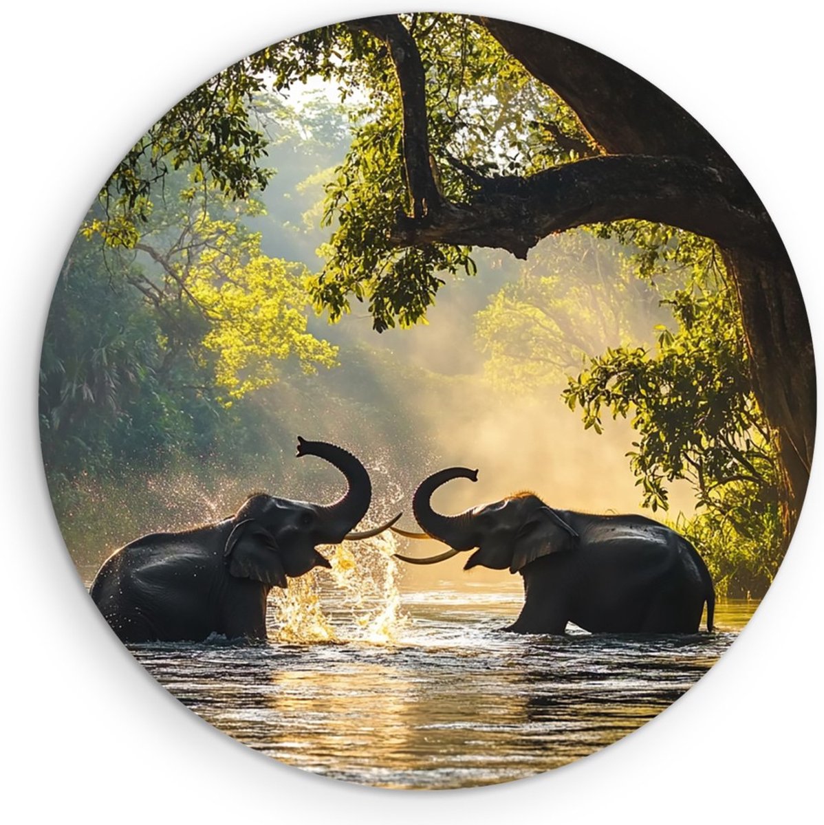 Saammp Muurcirkel Hout - 2 Spelende Olifanten - Afrika - Dieren - Ø 50 - Wandcirkel - Wanddecoratie Cirkel - muurdecoratie Woonkamer - Slaapkamer decoratie - Rond Schilderij
