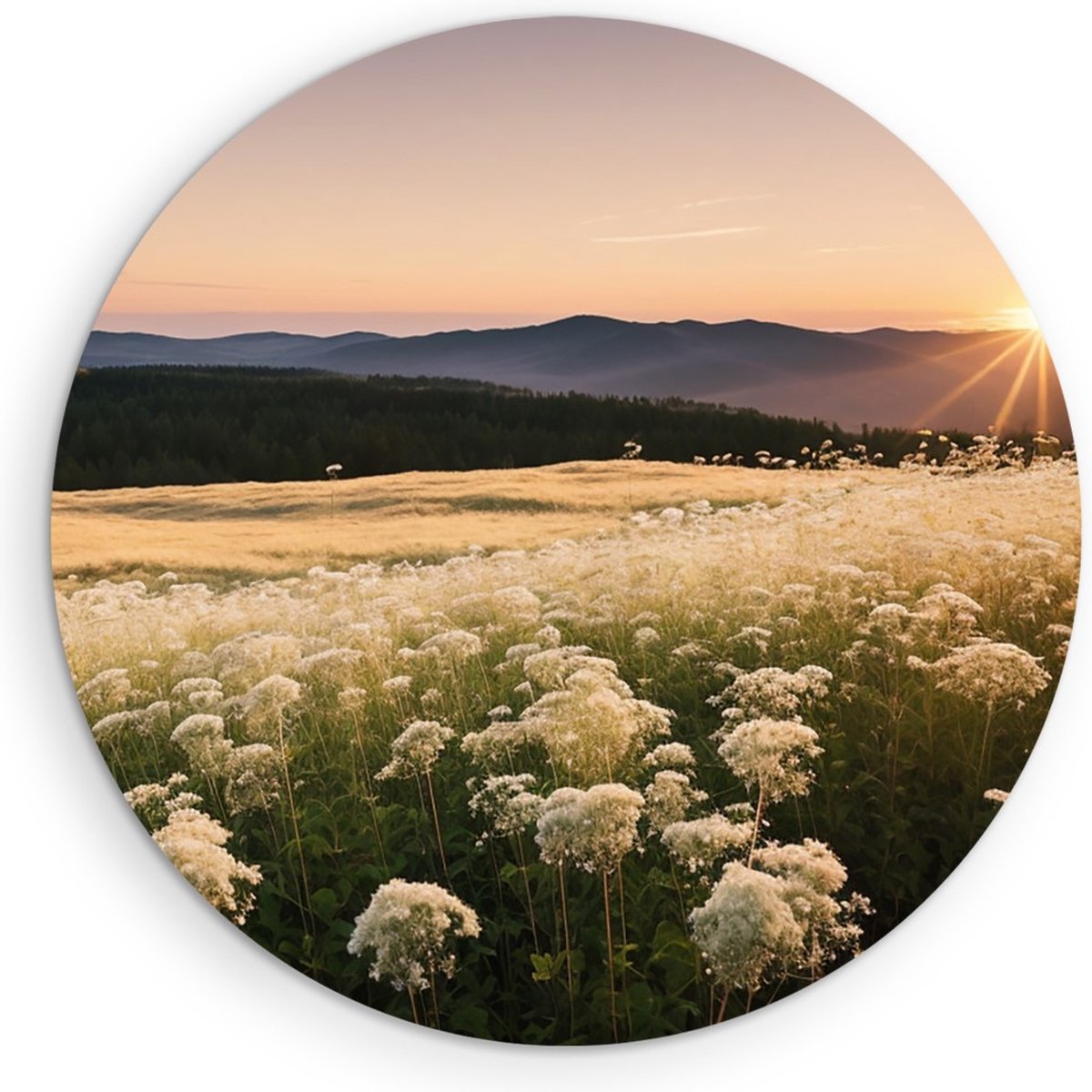 Saammp Muurcirkel Hout - Landschap - Wit - Bloemenveld met zonsondergang en bergen - Natuur - Ø 40 - Wandcirkel - Wanddecoratie Cirkel - Muurdecoratie Woonkamer - Slaapkamer decoratie - Rond Schilderij