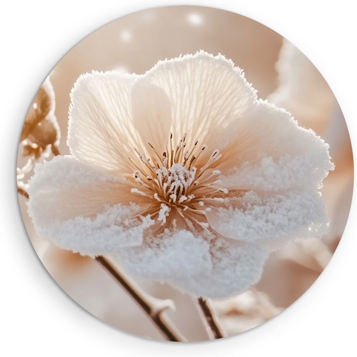 Saammp Muurcirkel Hout - Witte Grote Bloemen - Natuur - Abstract - Ø 60 - Wandcirkel - Wanddecoratie Cirkel - Muurdecoratie Woonkamer - Kantoor Decoratie