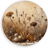 70 cm x 70 cm