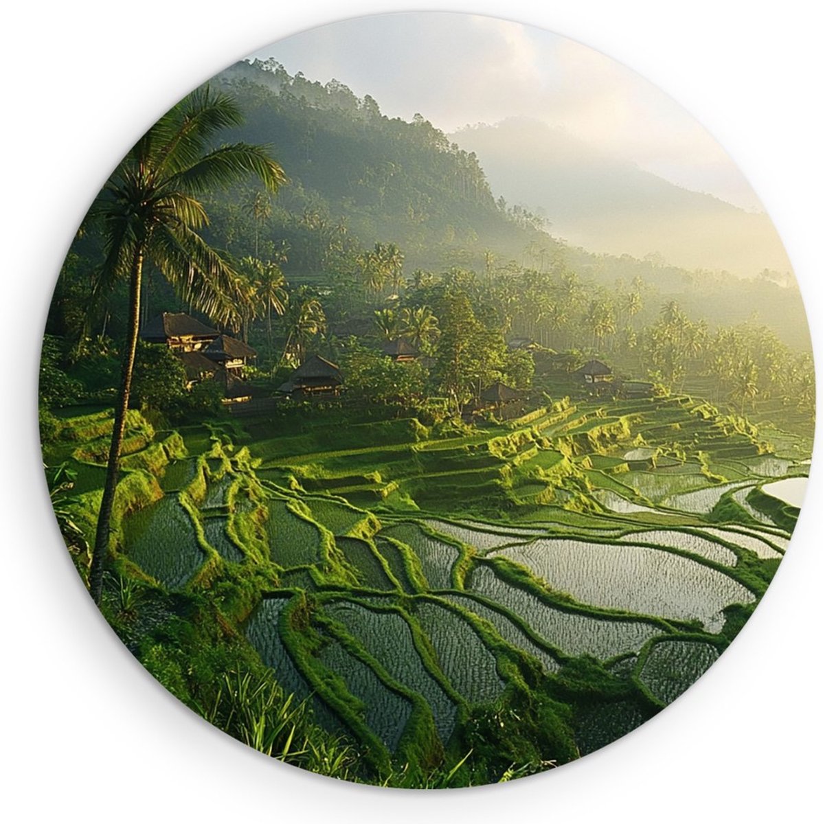 Saammp Muurcirkel Hout - Natuur - Rijstveld - Bali - landschap - Ø 30 - Wandcirkel - Wanddecoratie Cirkel - Muurdecoratie Woonkamer - Slaapkamer decoratie - Rond Schilderij