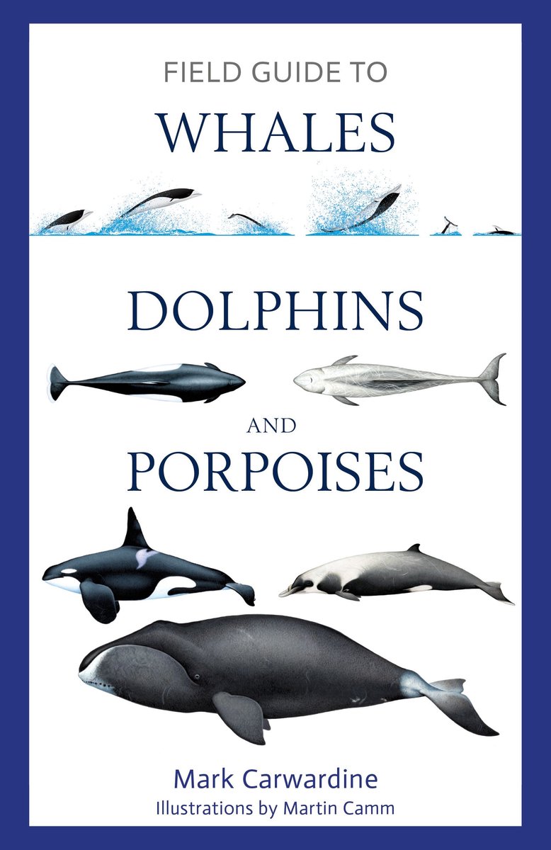 Omslag van Bloomsbury Naturalist - Field Guide to Whales, Dolphins and Porpoises
