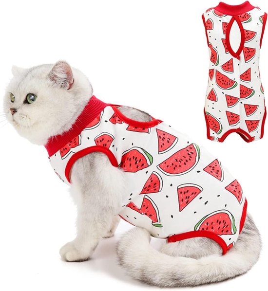 HEYWEAN Kattenbody na castratie kat herstelpak medisch vest kitten bodysuit na de operatie chirurgisch pak voor katten huisdier hemd pyjama katten kleding HEYWEAN Kattenbody na castratie kat herstelpak medisch vest kitten bodysuit na de operatie chirurgisch pak voor katten huisdier hemd pyjama katten kleding