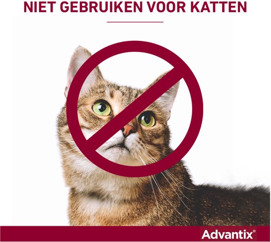 Kattenportret met "Niet gebruiken voor katten" tekst en verbodssymbool.