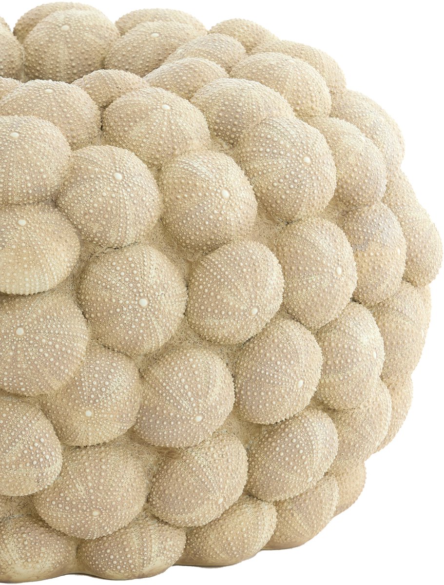 Vaas SEA URCHIN - Ø40x23.5cm - Bruin