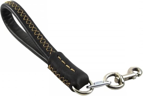 Elastische hondenriem, hondenketting met zacht gevoerd handvat en