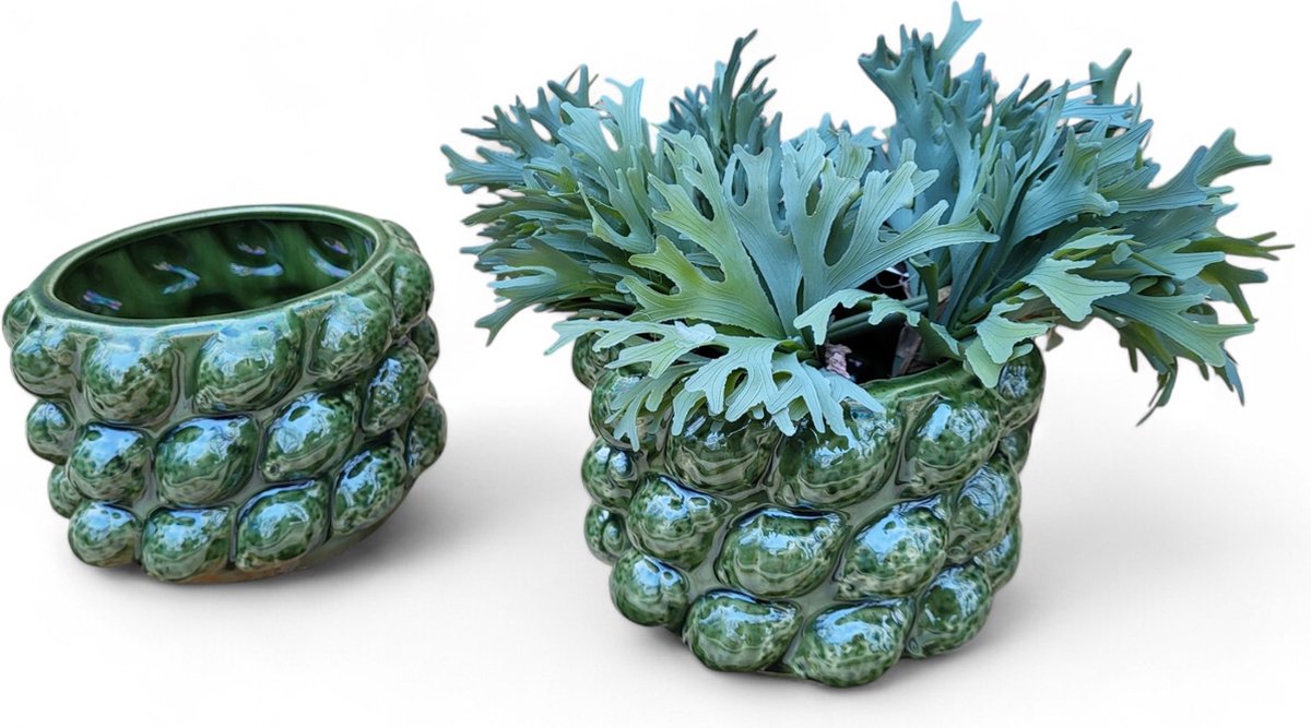 Set 2x Bloempot Groen Lemon Keramiek 18x18x13 cm Bloempotten voor Binnen