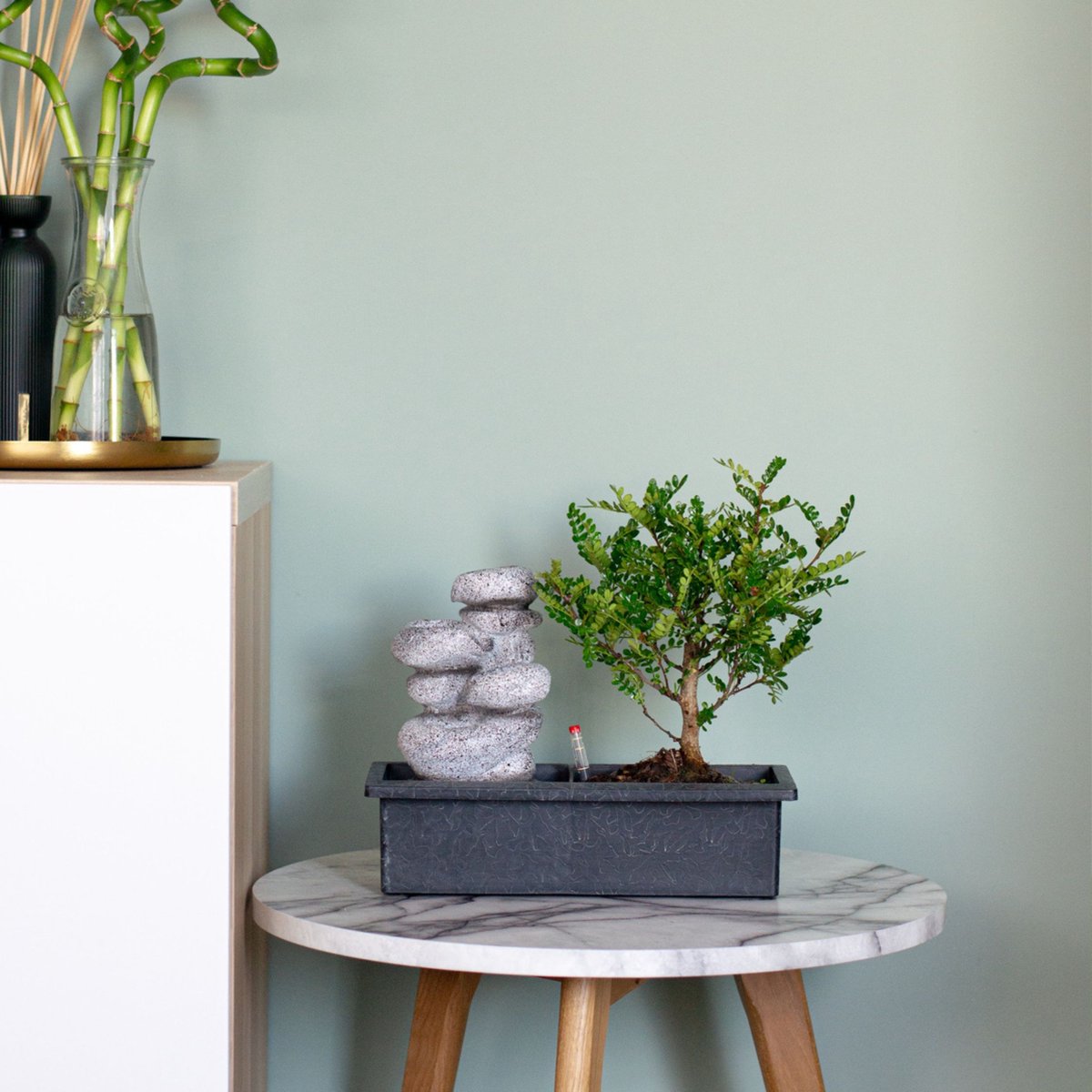 Bonsaï Plant In A Box Avec Cascade D'eau | Système D'arrosage Facile, Hauteur 25-35cm | Plante D'intérieur Zen