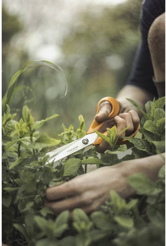 Handen knippen een groen lint met een Fiskars schaar met oranje handgrepen in een tuin.