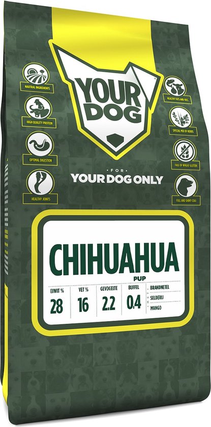 Yourdog chihuahua pup