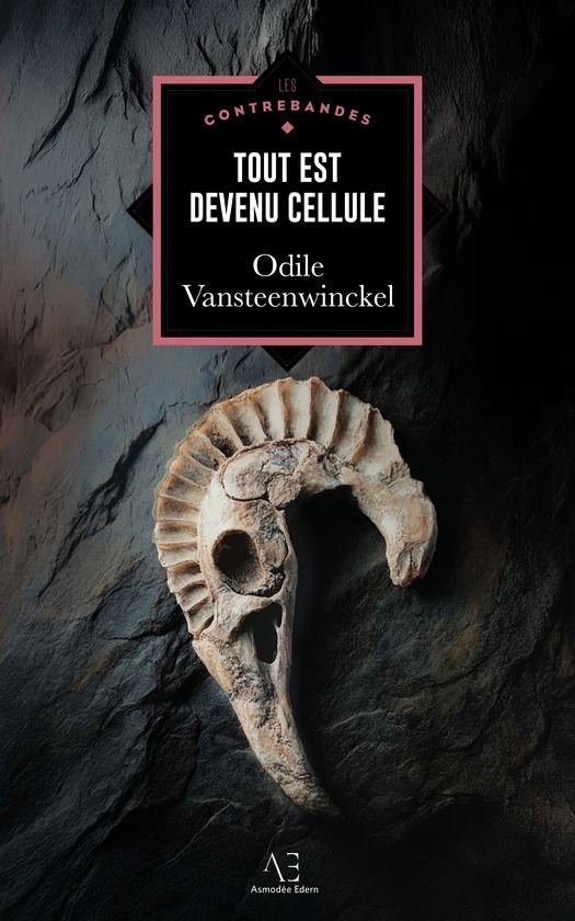 Les Contrebandes - Tout est devenu cellule