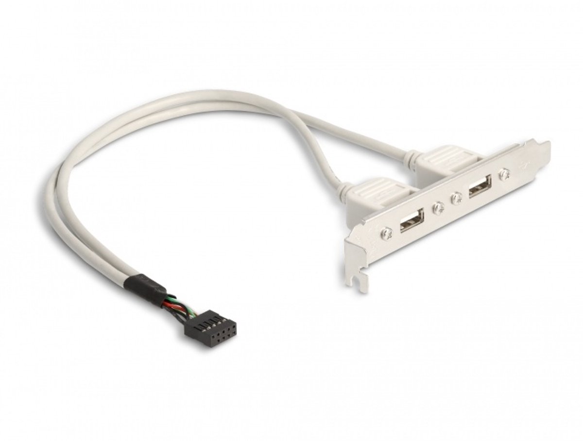 Delock - naar USB 2.0 A Female - 0.3 m