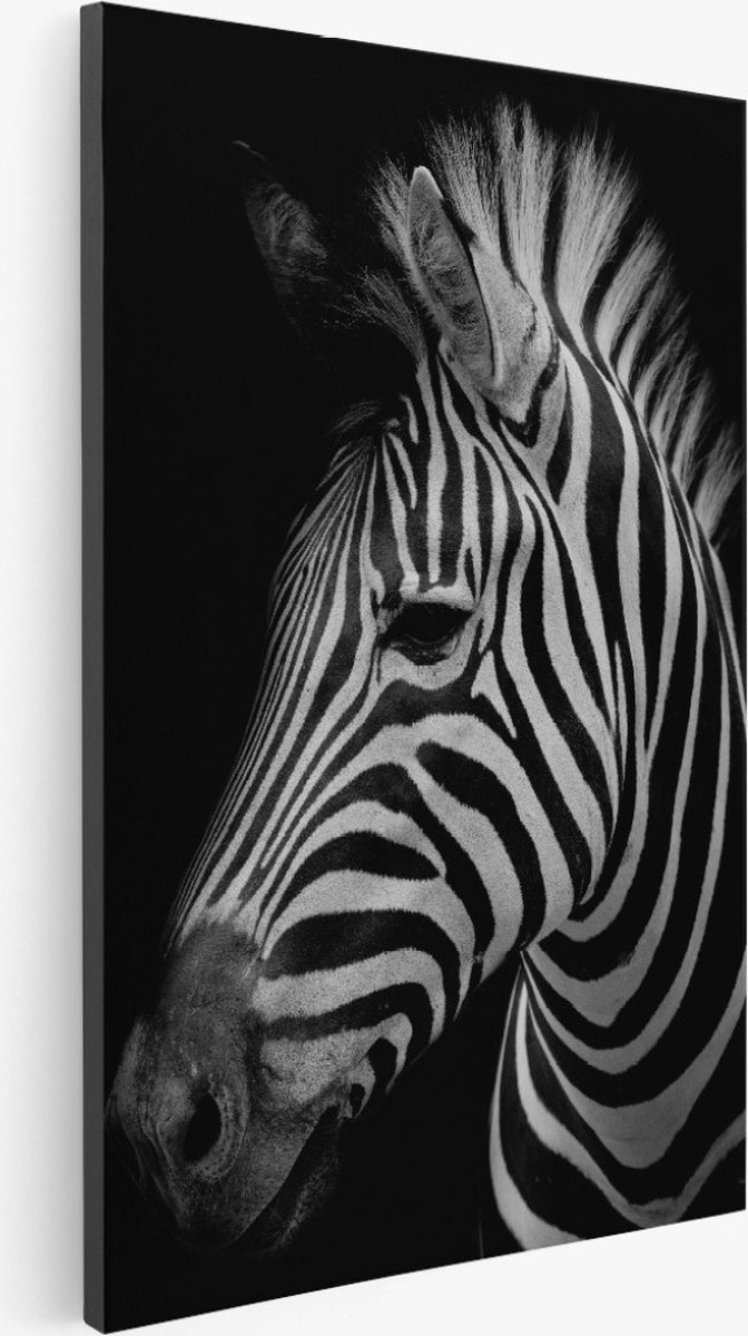 Saammp Canvas Schilderij - Zebra portret - Natuur - Dieren - 30x40 - Foto op canvas - Wanddecoratie - Muurdecoratie Woonkamer - Slaapkamer decoratie - Canvas Print Multicolor
