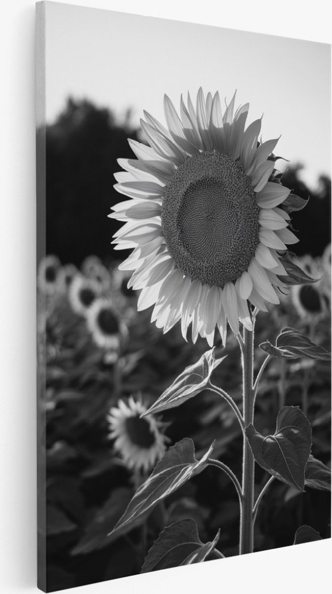 Saammp Canvas Schilderij - bloemen - Zonnebloem - 40x60 - Foto op canvas - Wanddecoratie - Muurdecoratie Woonkamer - Kantoor Decoratie Multicolor