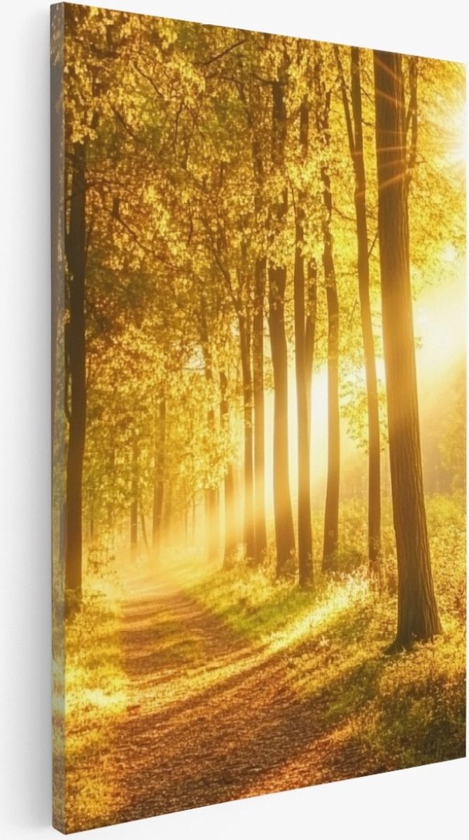 Saammp Canvas Schilderij - Bos tijdens Goldenhour - Herfst - Natuur - 75x100 - Foto op canvas - Wanddecoratie - Muurdecoratie Woonkamer - Slaapkamer decoratie - Canvas Print Multicolor