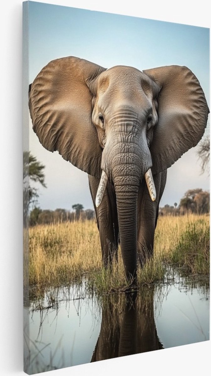 Saammp Canvas Schilderij - Olifant in afrika - Dieren - Natuur - 40x50 - Foto op canvas - Wanddecoratie - Muurdecoratie Woonkamer - Slaapkamer decoratie - Canvas Print Multicolor