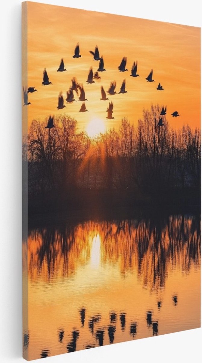 Saammp Canvas Schilderij - Vogels in nederland - Zonsondergang - Natuur - Dieren - 50x70 - Foto op canvas - Wanddecoratie - Muurdecoratie Woonkamer - Slaapkamer decoratie - Canvas Print Multicolor