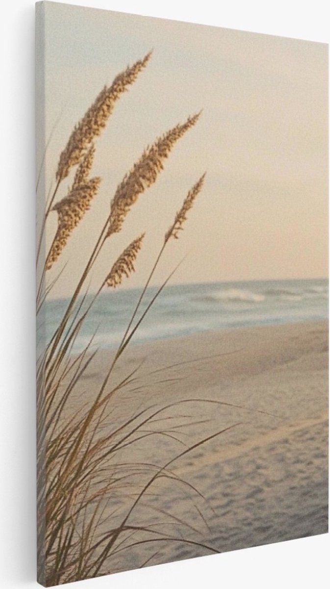 Saammp Canvas Schilderij - Strand met planten - Zee - Duinen - 60x90 - Foto op canvas - Wanddecoratie - muurdecoratie Woonkamer - Slaapkamer decoratie - Canvas Print Multicolor