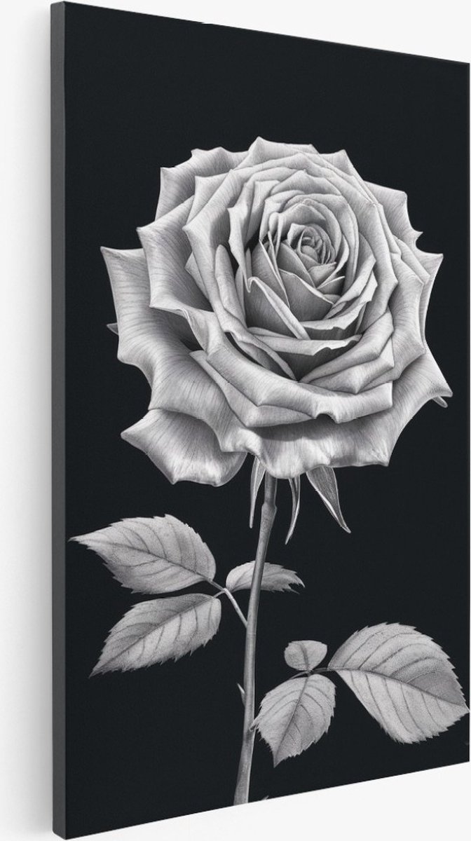 Saammp Canvas Schilderij - Roos - Zwart-Wit - Natuur - Bloemen - 50x70 - Foto op canvas - Wanddecoratie - Muurdecoratie Woonkamer - Kantoor Decoratie Multicolor
