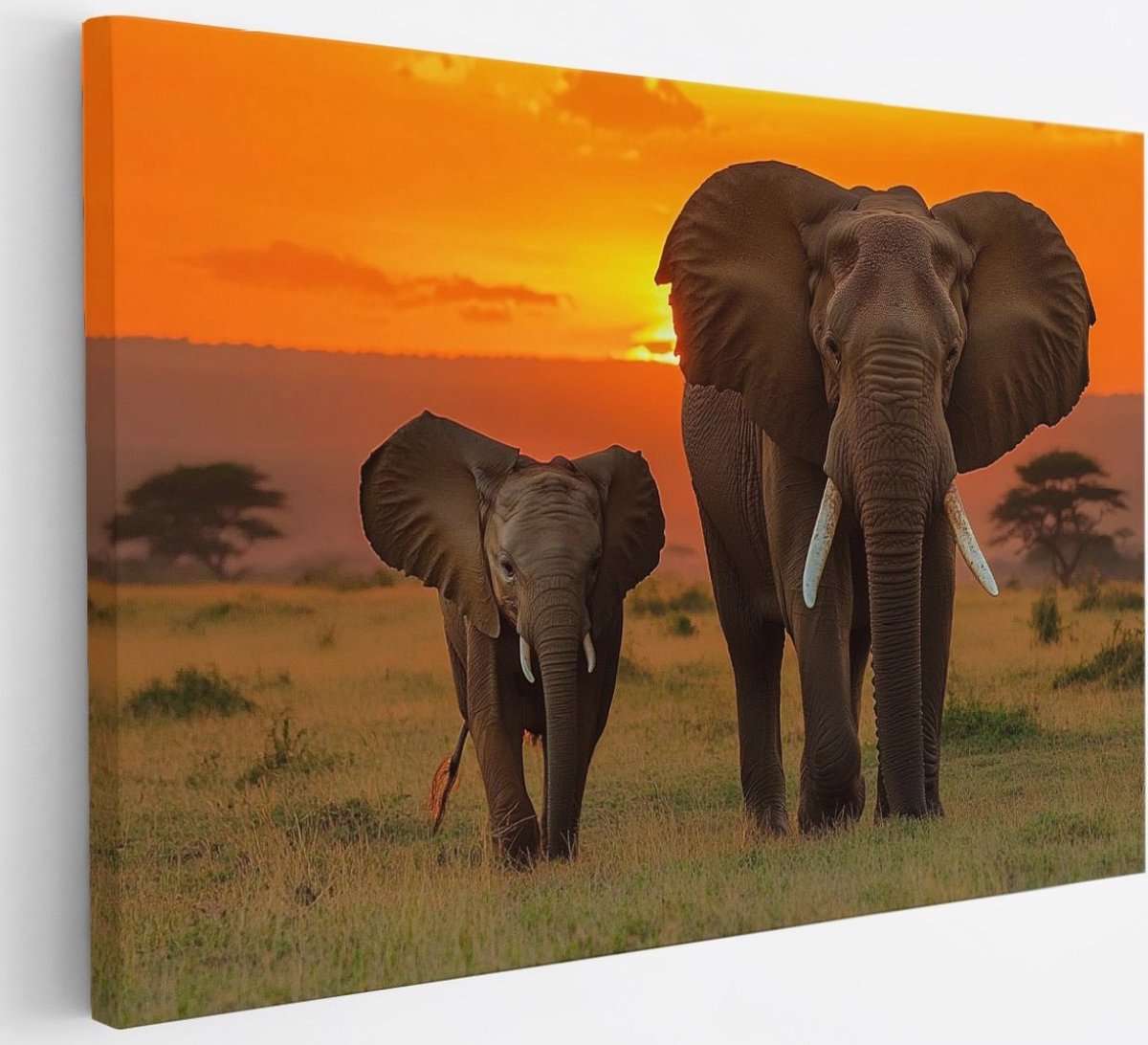 Saammp Canvas Schilderij - Olifant met Jong in zonsondergang - Afrika - Dieren - 30x20 - Foto op canvas - Wanddecoratie - muurdecoratie Woonkamer - Slaapkamer decoratie - Canvas Print Multicolor
