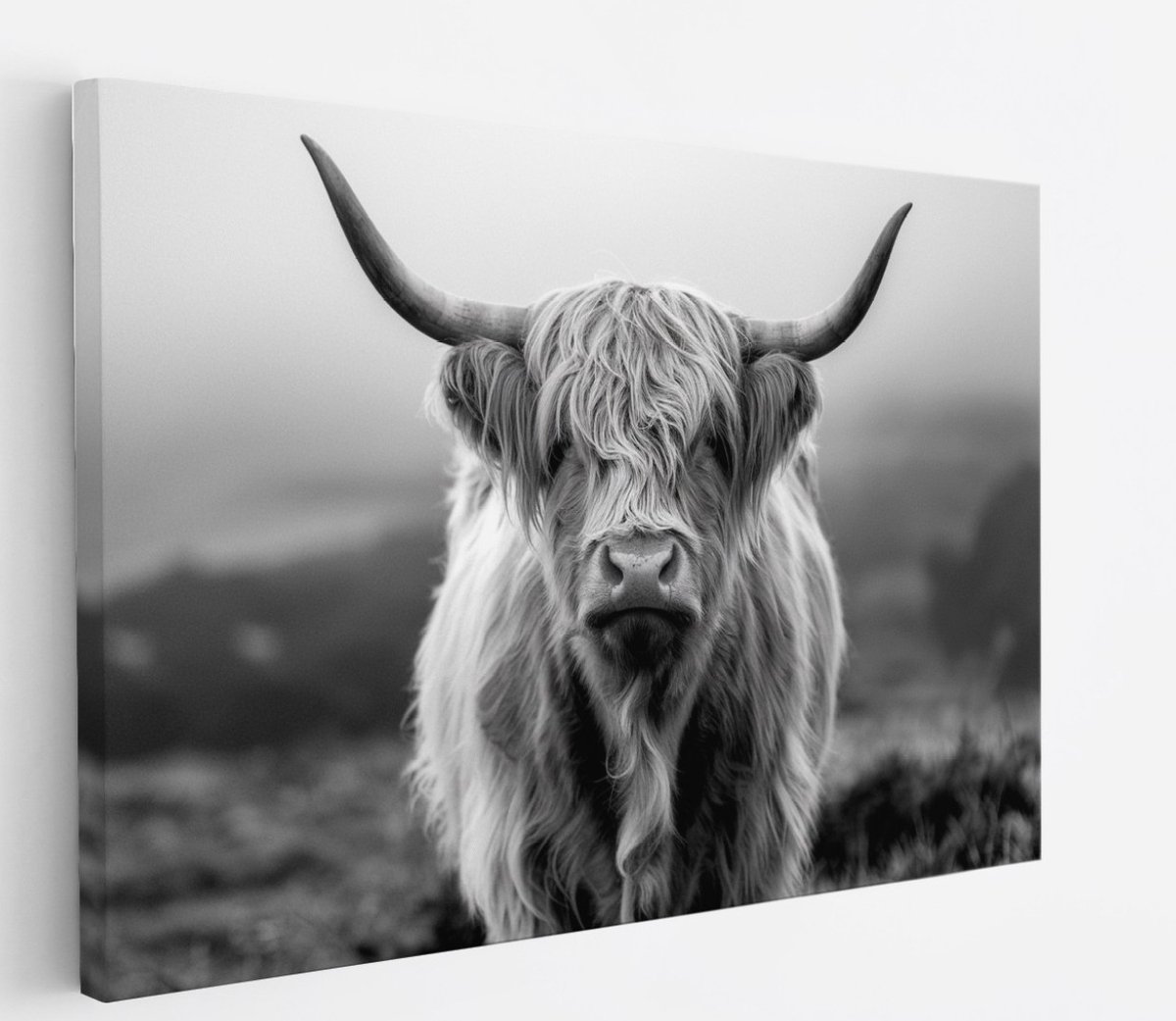 Saammp Canvas Schilderij - Schotse Hooglander Koe op de hooglanden - Dieren - Natuur - 50x40 - Foto op canvas - Wanddecoratie - muurdecoratie Woonkamer - Slaapkamer decoratie - Canvas Print Multicolor
