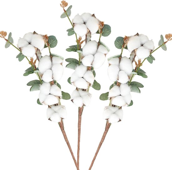 Natuurlijke katoenen ballen, gedroogde 20 stuks/set, echte witte katoenen bundel, boerderijstijl, bloemendecoratie, doe-het-zelf, kunsthandwerk, materiaal Natuurlijke katoenen ballen, gedroogde 20 stuks/set, echte witte katoenen bundel, boerderijstijl, bloemendecoratie, doe-het-zelf, kunsthandwerk, materiaal