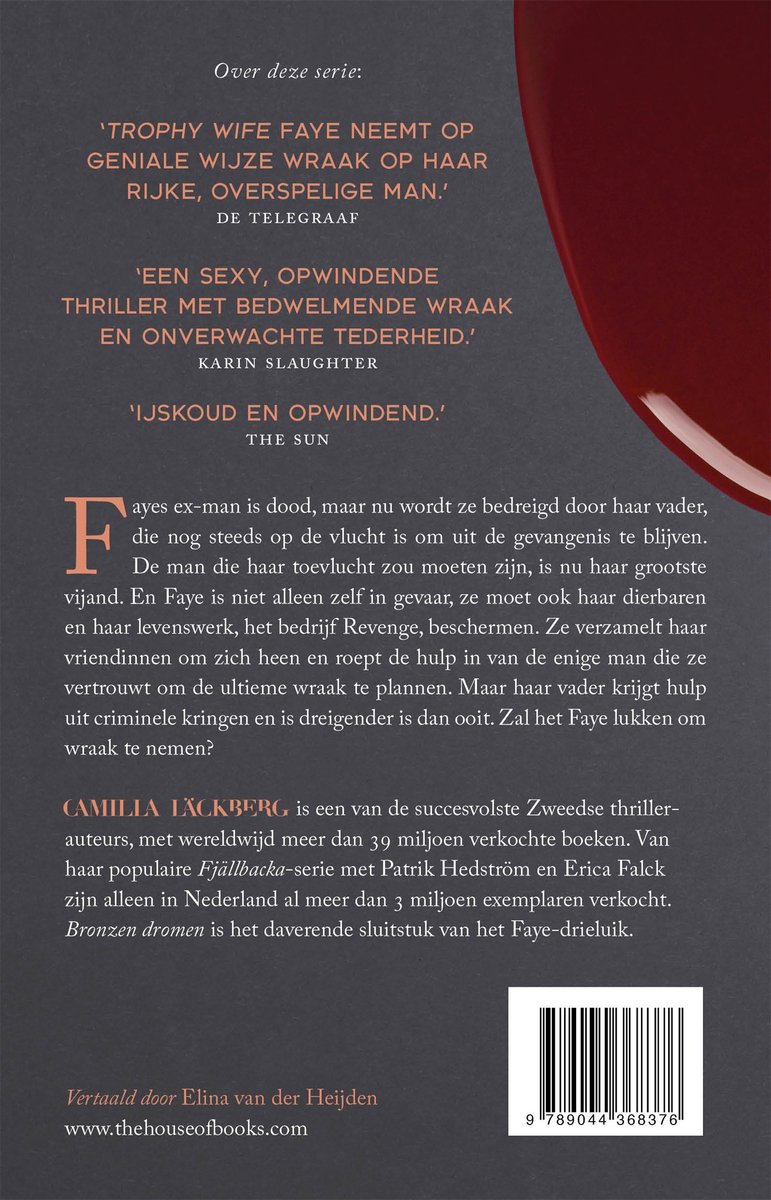 Boekomslag met citaten over een thriller met Faye. De tekst 'Trophy wife Faye neemt op haar rijke, overspelige man' en 'Bronzen dromen'.