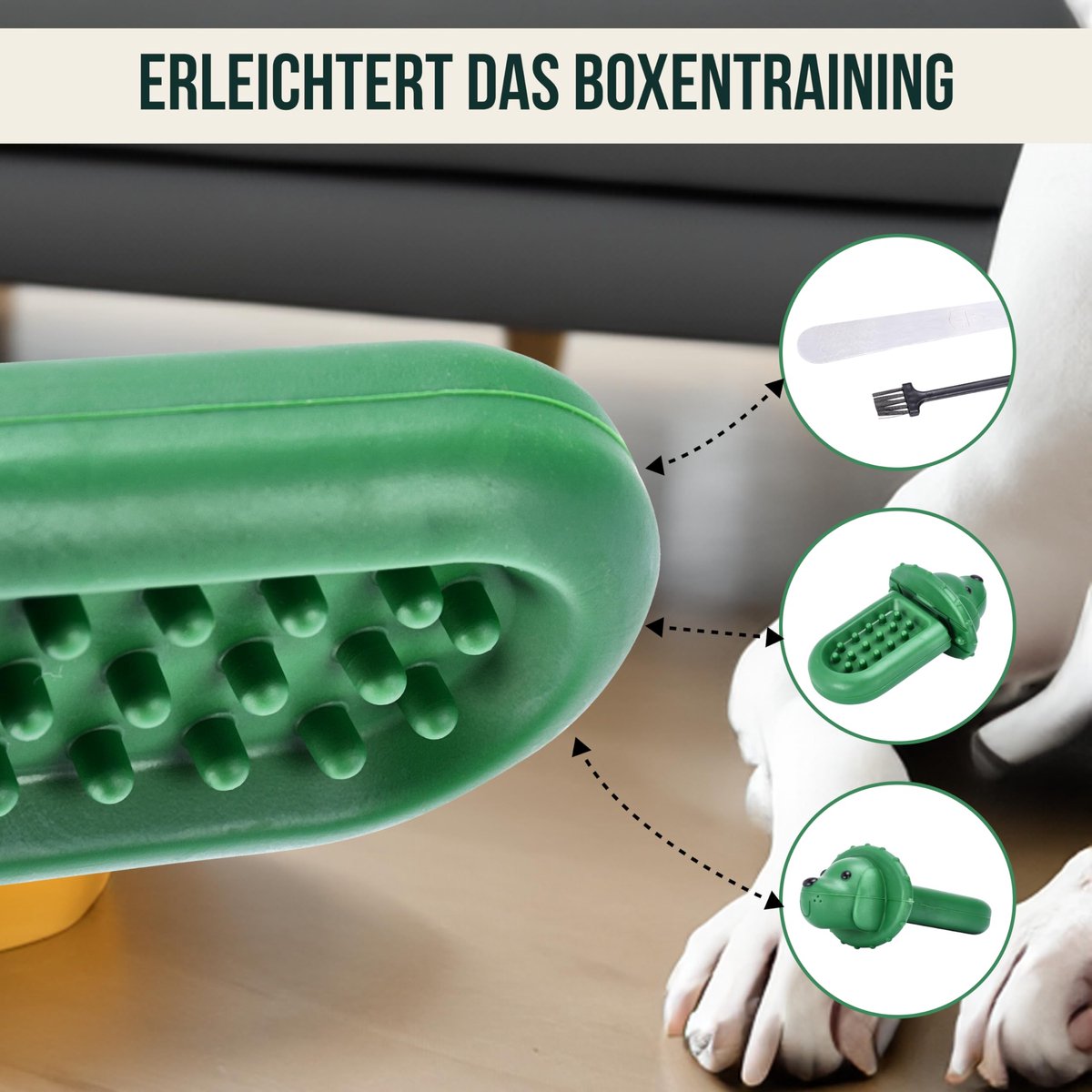 Diggs Groov Hondentrainingsspeelgoed, trainingshulp voor puppy's, trainingshulpmiddelen voor puppy's, hecht aan krat, vermindert angst, hondensnoepdispenser, hondenkennelspeelgoed, turkoois