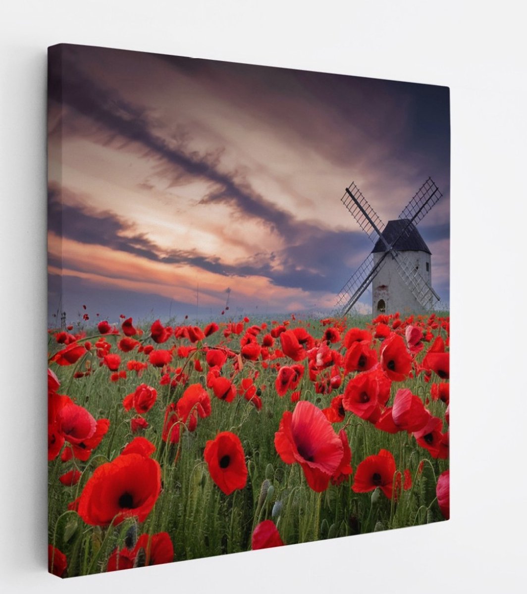 Saammp Canvas Schilderij - Klaprozen met molen - Bloemen - Landschap - Natuur - 60x60 - Foto op canvas - Wanddecoratie - Muurdecoratie Woonkamer - Slaapkamer decoratie - Canvas Print
