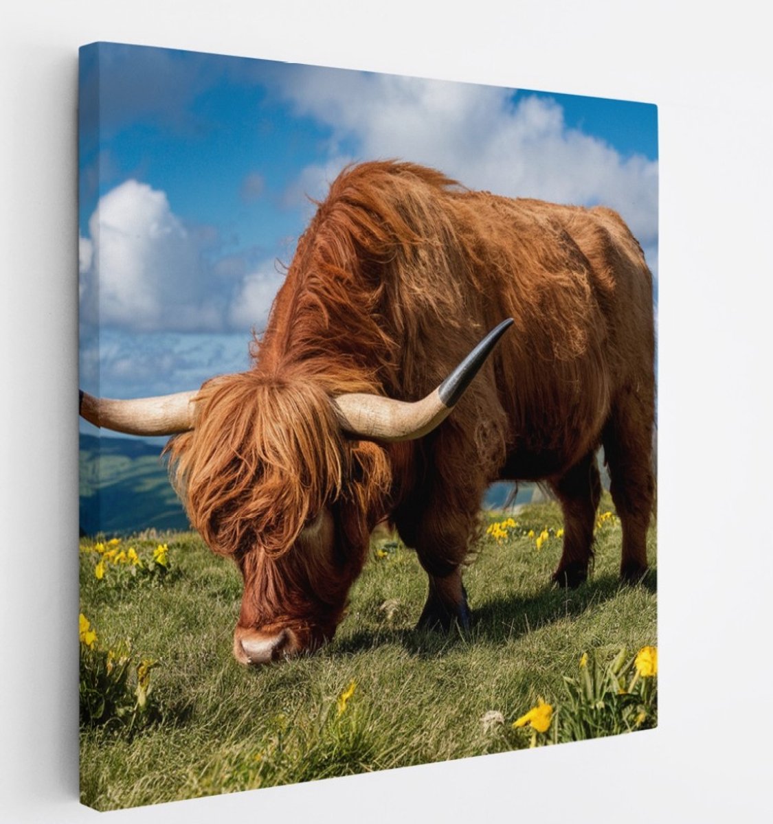 Saammp Canvas Schilderij 2 Schotse Hooglander Koeien in de sneeuw - Dieren - Natuur - 20x20 - Foto op canvas - Wanddecoratie - muurdecoratie Woonkamer - Slaapkamer decoratie - Canvas Print Multicolor