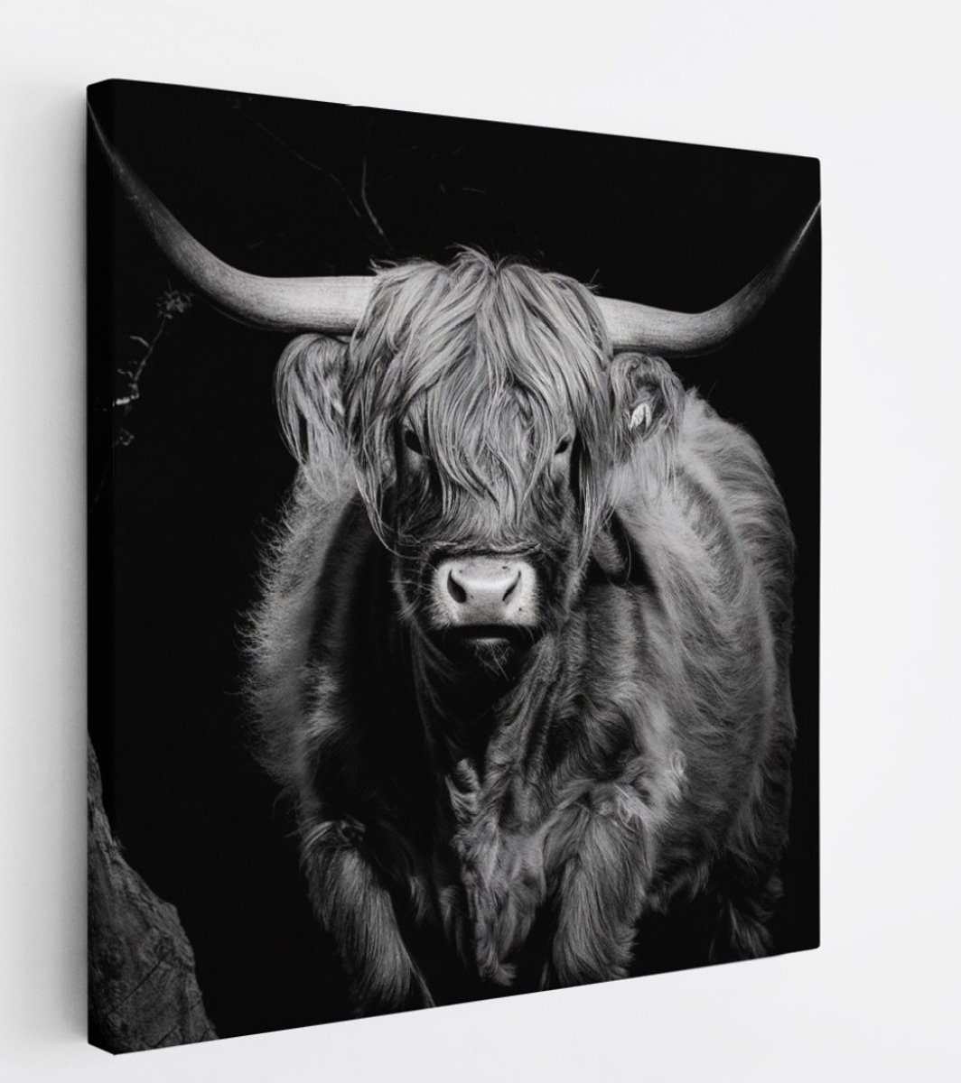 Saammp Canvas Schilderij - Schotse Hooglander Koe - Zwart-Wit - Dieren - Portret - 30x30 - Foto op canvas - Wanddecoratie - muurdecoratie Woonkamer - Slaapkamer decoratie - Canvas Print Multicolor