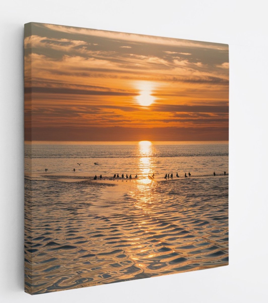 Saammp Canvas Schilderij - Vogels op een zandbank - Strand - Landschap - Natuur - 40x40 - Foto op canvas - Wanddecoratie - Muurdecoratie Woonkamer - Slaapkamer decoratie - Canvas Print Multicolor