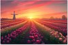 Fleurs - Tulipes, Rose