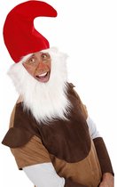Chapeau de gnome avec barbe et sourcil