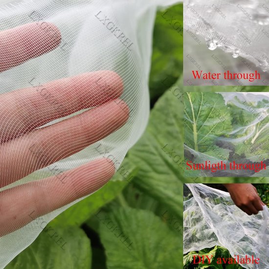 Beschermingsnetten tegen drosophila suzuki-fruitvlieg