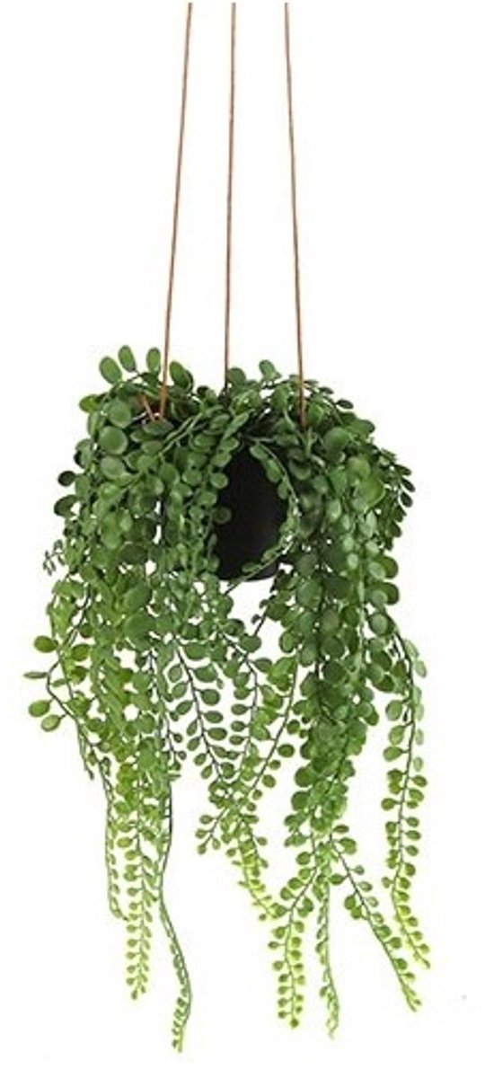 Countryfield Kunstplant Peperomia groen-hoogte 45 cm