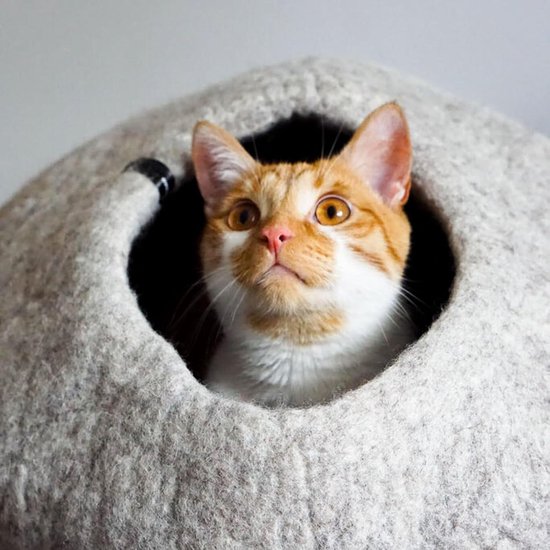 Pawtasy Kattengrot vilt kattenbed grot kattenhuis voor binnenkatten grot met 2 zachte en afneembare kussens, winterbestendig, bescherming van kattennagels, 58L x 33B x 30H cm, donkergrijs