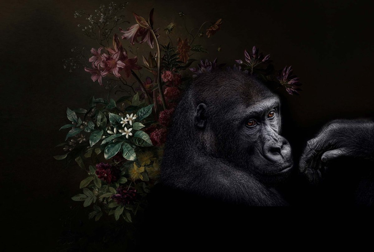 Fotobehang wildlife 3 DD110626 Livingwalls Walls by Patel | Fotobehang online webshop