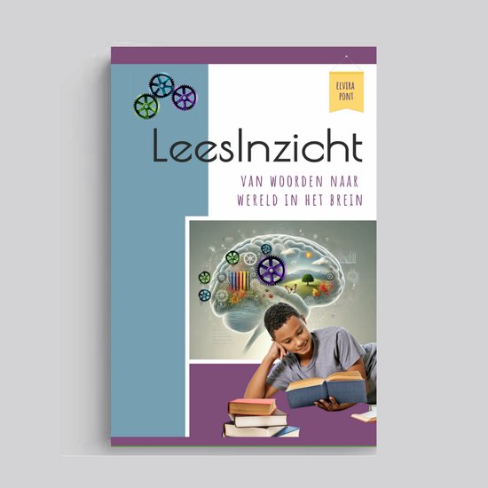 LeesInzicht - van woorden naar wereld in het brein - cover