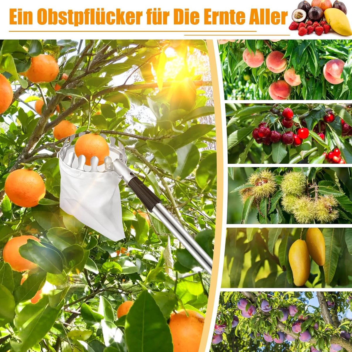 Fruitplukker met 4M / 13ft telescopische paal en fruitdraagtas, lichtgewicht verstelbare appel-citroenpeerplukker, fruitpluktool voor sinaasappel-mango-avocado's en meer fruit